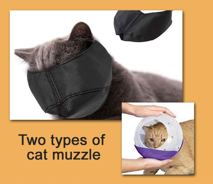air muzzle cat