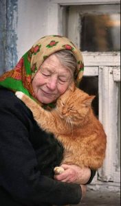 Cat to human unconditional love