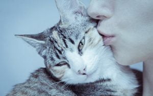 Woman kisses cat