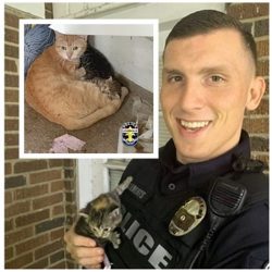 police rescue cats