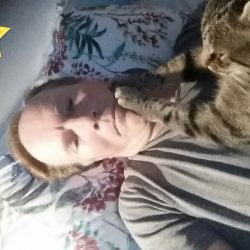 A domestic cat's desire to touch