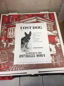 Lost per flyer on pizza box