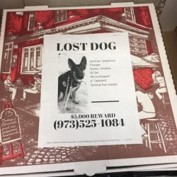 Lost per flyer on pizza box