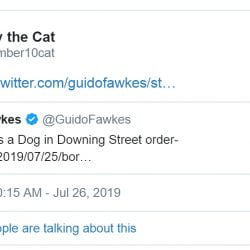 Boris wants a dog announcement