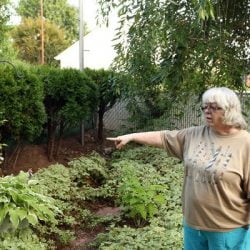 Catherine Hollenbach of Bayonne