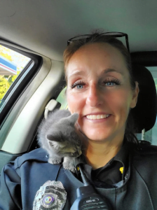 kitten rescued