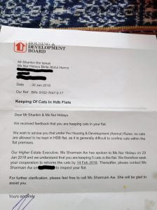 Letter from HBD Singapore telling residents to rehome their cats