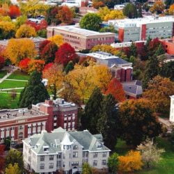 Pretty Corvallis, Oregon a cat friendly city