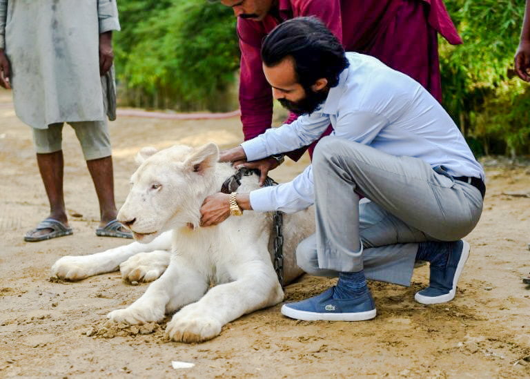 Rich Pakistani with his white lion