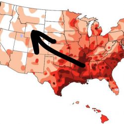 Transportation of shelter animals from south spreads heartworm to the north