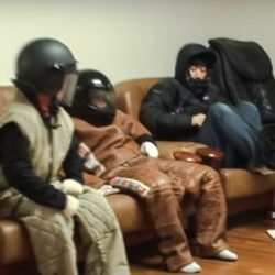 Waiting for aggressive Sphynx cat to emerge