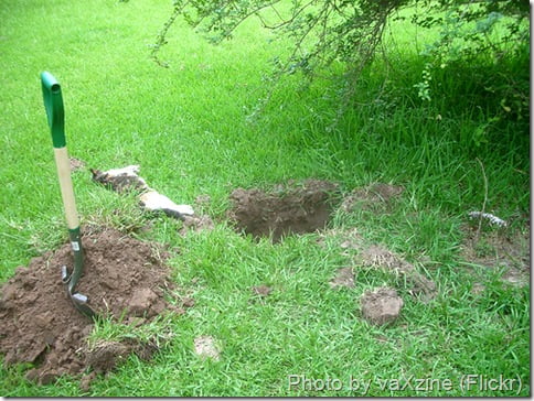 Cat grave being dug with dead cat