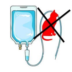 Can't have cats if you are in chemotherapy