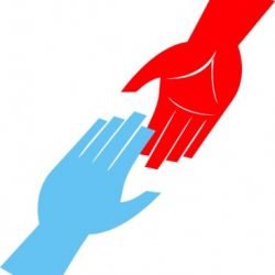 Person needs help to rehome cats