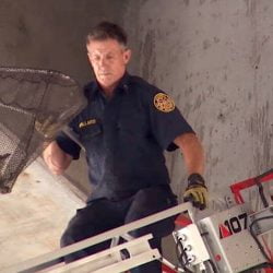 kitten in large net being rescued by firefighter using a mechanical ladder