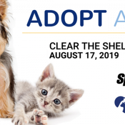 clear the shelters