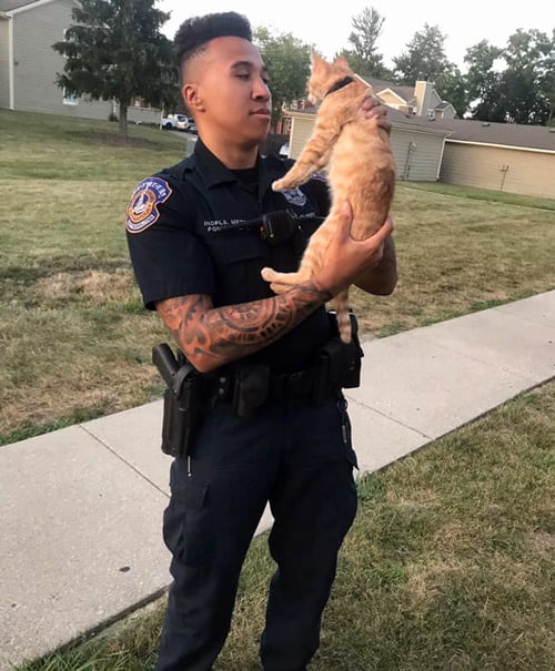 cat and officer