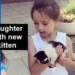Justin Moore's daughter with newly adopted kitten
