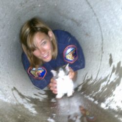 Kittens trapped in storm drains are too common
