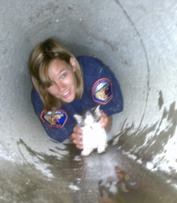 Kittens trapped in storm drains are too common