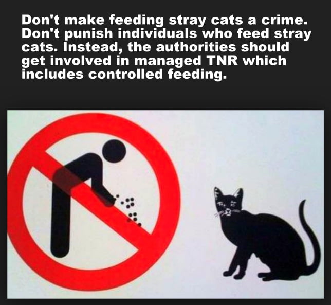 Don't punish people who feed stray and feral cats