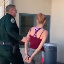 Woman who abused her dog marched to jail