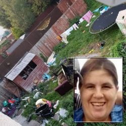 Worst neighbor ever never fed her six cats