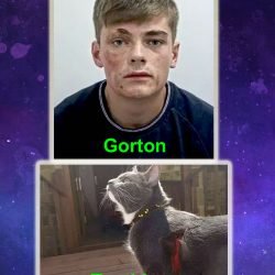 Gorton and Toothless