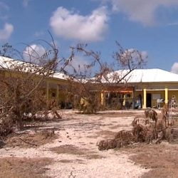 Humane Society of Grand Bahama after the hurricane