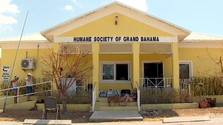 Humane Society of Grand Bahama