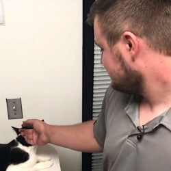 Vespa's rescuer and Vespa