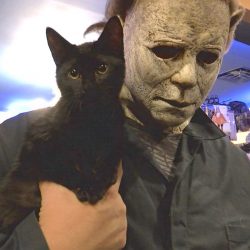 Halloween Express. A strange juxtaposition of a cute black rescue cat and a ghoul.