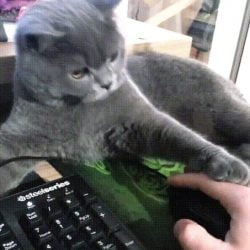 Hey bud that's my mouse