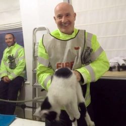 cat rescued from chimney