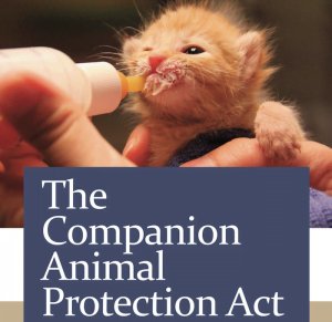 Companion Animal Protection Act