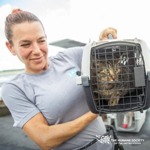 HSUS saving the lives of cats