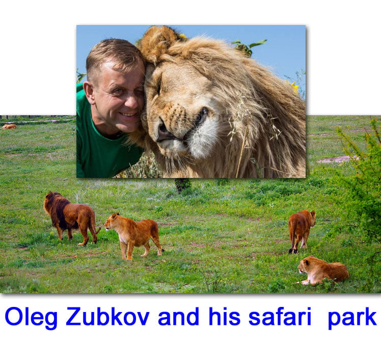 Crimean private zookeeper said he will shoot his own bears and the lions  and tigers will be next – PoC