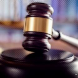 Justice for the cat who was tortured by an attempted DIY castration