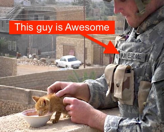 This soldier is awesome as he feeds a stray kitten in a foreign land