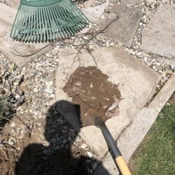 Man digs up 70 cats at his new home