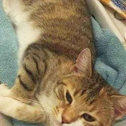 Lilly. Photo by Natelle Smith (believed)