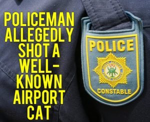 Policeman allegedly shot airport cat