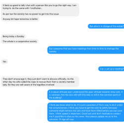 Discussion with Indian resident about how to try and save 10 stray cats