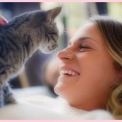 You can see that this is a relationship of equals