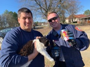 firefighters rescue cat