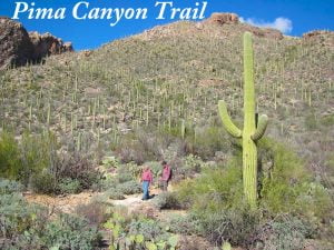 Pima Canyon Trail where three mountain lions were shot because they were scavenging on a human corpse