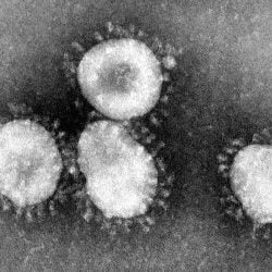 Coronavirus