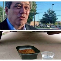 Paul Rodriguez loves to feed fera cats but he falls foul of the law