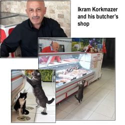 Ikram Korkmazer's butcher's shop