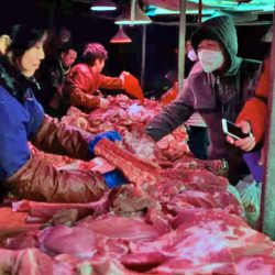 Beijing wildlife meat market